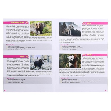 Board game "Memo. Animal world"-4