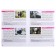Board game "Memo. Animal world"