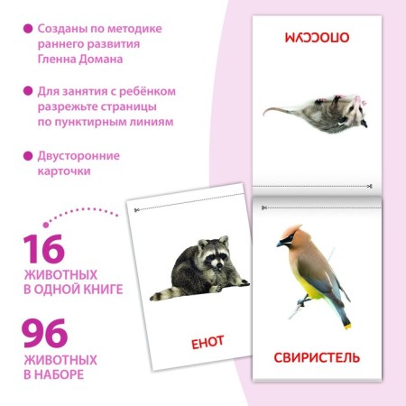 Books Set “Doman Cards. Animals of the continents ”, 6 pcs. 20 p.-1