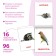 Books Set “Doman Cards. Animals of the continents ”, 6 pcs. 20 p.