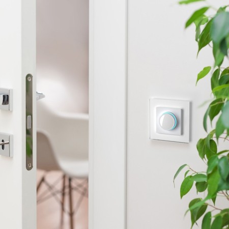 Dimmer with backlight (white) W1142101-5