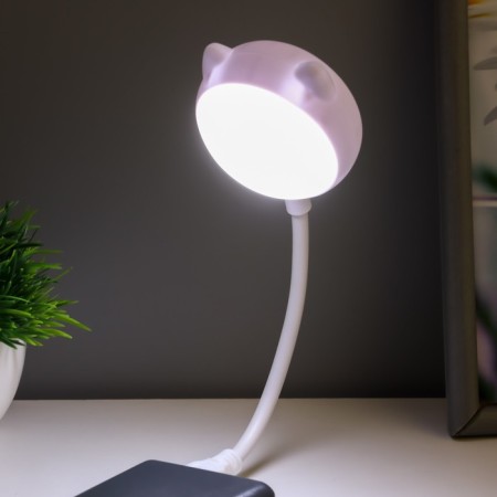 Night -night "cat" LED 2W USB white 13.5x8.5x30 cm Risalux-1