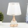 Highlight lamp with backlight 58087/1 1x40W E27 gold 20x20x36 cm Risalux