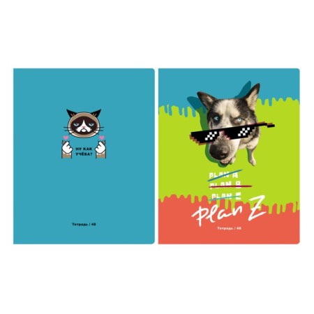 Notebook of 48 sheets in the "Boys" line, cover coated cardboard, offset unit, mix-3