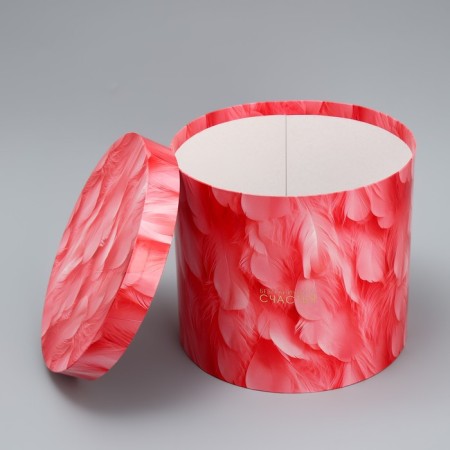 Set of hats 5 in 1, gift packaging, “feathers”, 13 x 14 - 19.5 x 22 cm-5