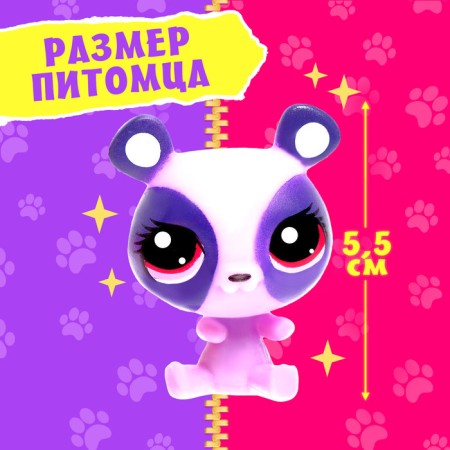 Crazy Pets, mix-1