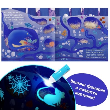 A book with a flashlight “What is happening in the dark?”, 24 p.-3