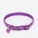 Two -layer collar with Fasteks "Music", 30 x 1 cm, purple