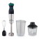 ECON ECO-434HB, 1000 W, 0.5/0.5 l, 2 speeds, 2 nozzles, black and green