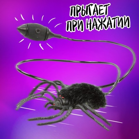 Jumping animals “feel like a superhero”, spider, in a package-1