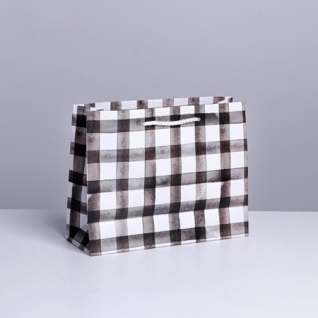 Gift package laminated, packaging, “strong”, MS 23 x 18 x 8 cm-2