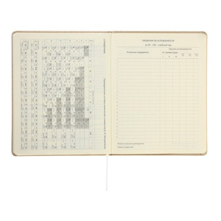 Universal diary for grade 1-11 Bow, hard cover, artificial leather, foil embossing, lies, 80 g/m2-11