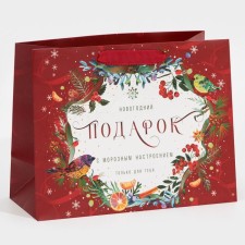 Laminated horizontal package “Frosted”, MS 18 x 23 x 10 cm, New Year