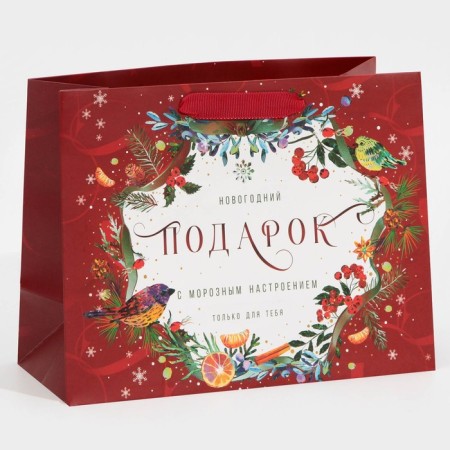 Laminated horizontal package “Frosted”, MS 18 x 23 x 10 cm, New Year