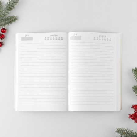 New Year. Diary in the thin cover A5, 80 liters "Dissatisfied face"-1