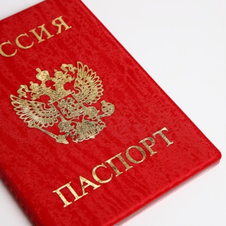 Cover for passport, red color-3