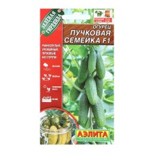 Seeds of cucumber 