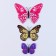 Set for decorating "Butterflies", 12 pcs, Mix colors