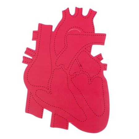 Set for experiments "My body", heart-3