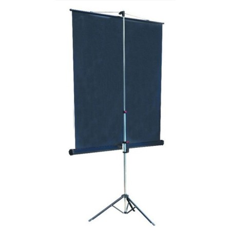 The screen on the triplege Lumien 153x203 cm, Master View LMV-100107, 4: 3, floor, roll-1