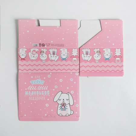 Box - Penal, Gift packaging, “Cute little gift”, 26 x 19 x 10 cm-4
