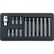 Набор бит Stels 11315, Torx, шестигранный хвостовик 10 мм, T20 - T55, 15 шт.