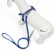 Sports set a reflective, leash 120 x 1 cm, fire 22-39 cm, mix of flowers