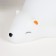 Nightlight "Bear" LED from white batteries 20.5x12x10 cm Risalux