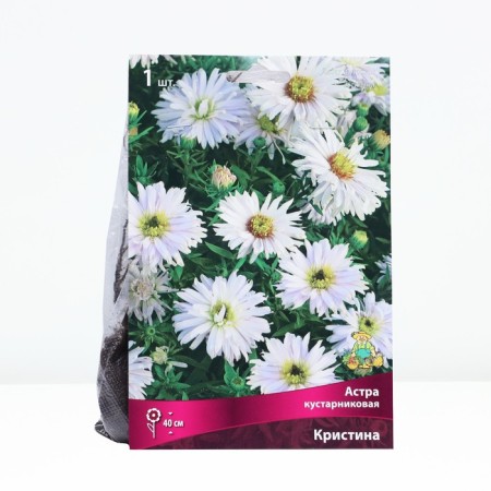 Astra Kristina Kristina, Rr. I, 1 pc, spring 2025