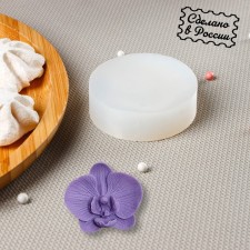 Silicone Mold 