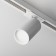 TREE TECHNICAL TR020-1-GU10-W, 1x10W, 9.2x12.5 cm, GU10, white color, white