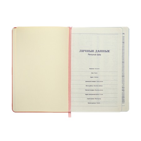 Leduced Diary A5, 140l, Cage, leatherette, elastic band, turquoise slice, peach-6
