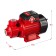 Surface pump "bison" NS-M1-800-h, vortex, 800 watts, 43 l/min, pressure 50 m, cast iron