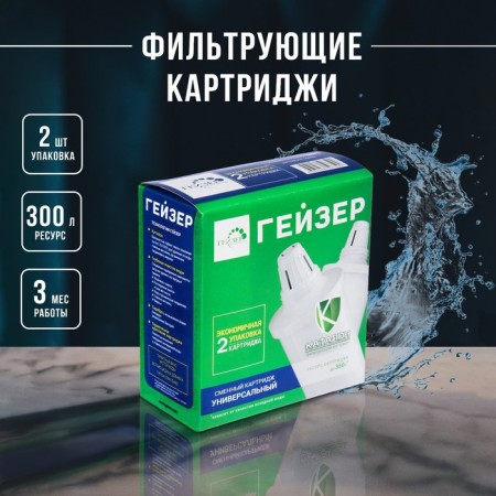 A set of shift filter cartridges 501, 2 pcs