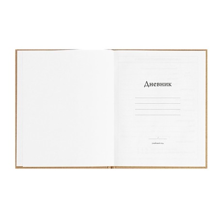 Universal Diary 5-11 classes, 48 ​​sheets "graffitist", craft, solid cover, foil embossing, block 65g/m2-3