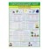 Set of posters "ENGIONAL CEOPLE - 1" 4 pcs., 30x42.5 cm