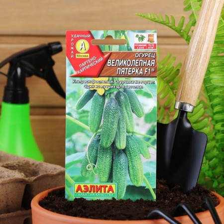 Cucumber seeds "magnificent five", F1, 10 pcs.-2