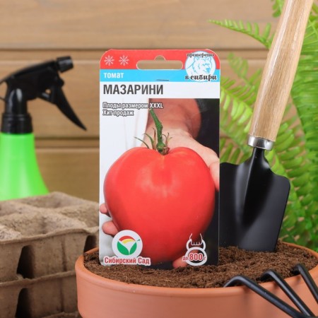 Mazarini tomato seeds, mid -season, 20 pcs-2