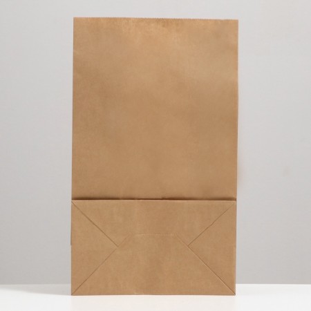 Craft package Paper Pack, rectangular bottom 24 x 14 x 40 cm 70 g/m2, set 20 pcs-1