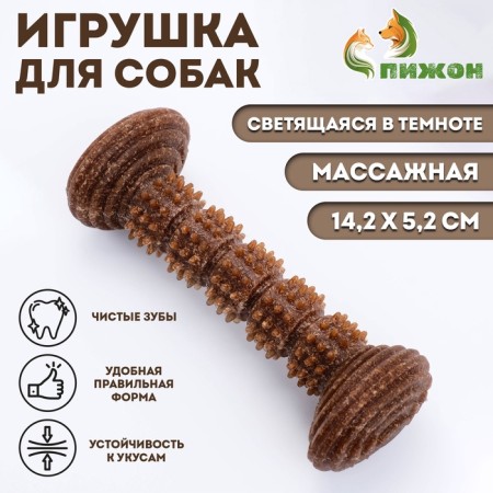 Dog toy "stick", tpr+bamboo, massage, 14.2 x 5.2 cm