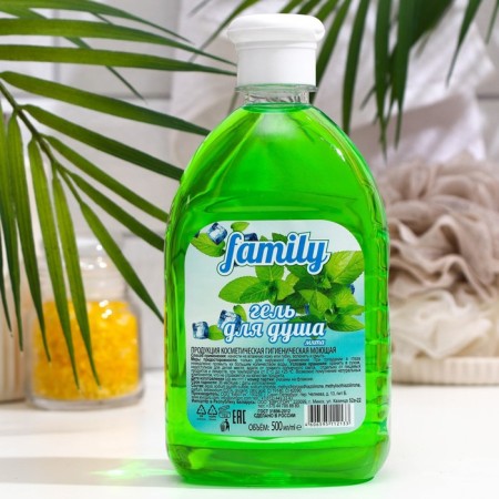 Family Liquid Soul Gel "Mint", 500 ml