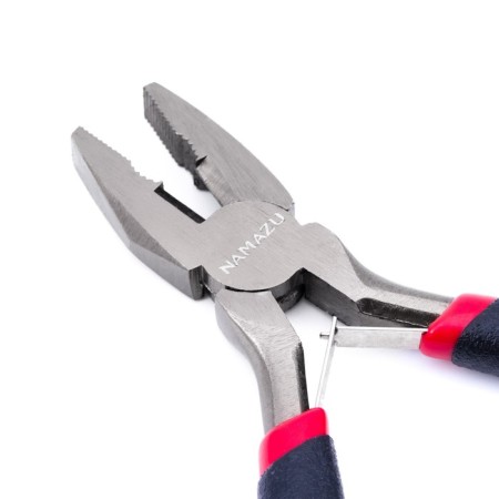 Fisheries Fisheries Direct Namazu, l = 115 mm-2