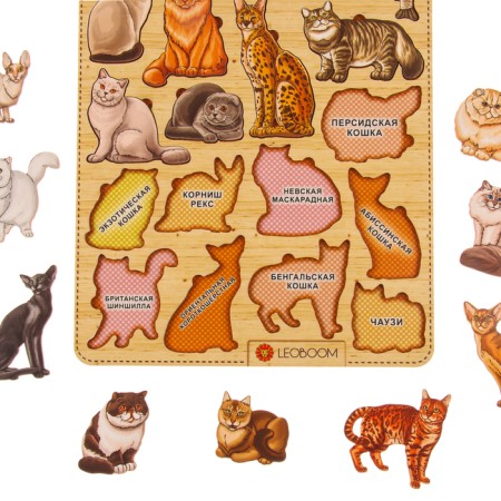 The frames of the "cats of cats"-2