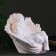 Figure "Angel in the shell" Big, beige 35x42x31cm
