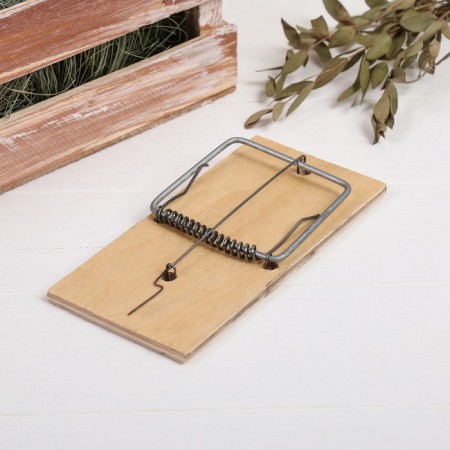 Root, 15 × 7.5 cm, wooden-3