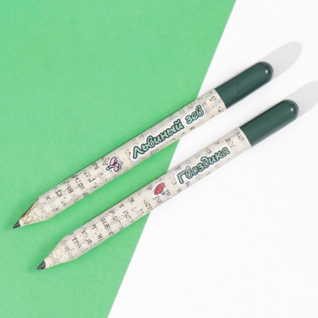 Growing gift pencils Mini "Lion Zev + Clove" set 2 pcs.-3