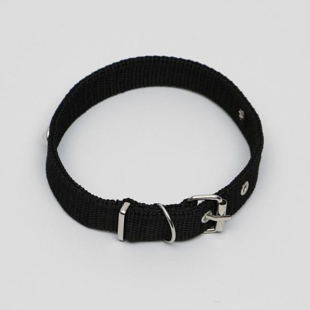 Animal collar-1