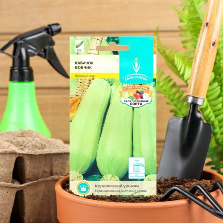Semen zucchini "Vovchik", early adhesive, white -fruited, universal, 1 g