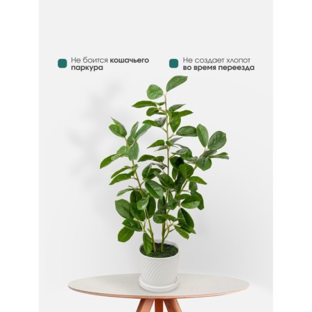 Decorative plant in a ceramic pot "Mini tree", 13.5 × 13.5 × 61 cm-6