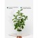 Decorative plant in a ceramic pot "Mini tree", 13.5 × 13.5 × 61 cm